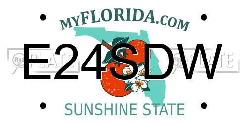 E24SDW Florida License Plate