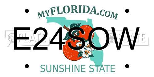 E24SOW Florida License Plate