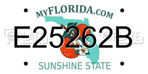 E25262B Florida License Plate