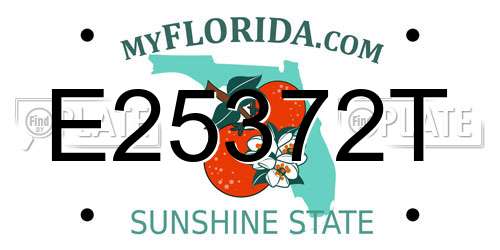 E25372T Florida License Plate