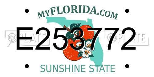 E253772 Florida License Plate