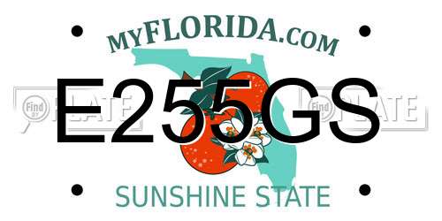 E255GS Florida License Plate