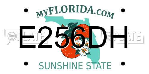 E256DH Florida License Plate