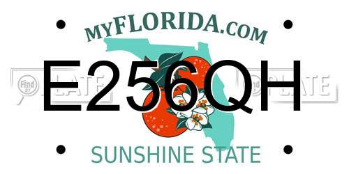 E256QH Florida License Plate