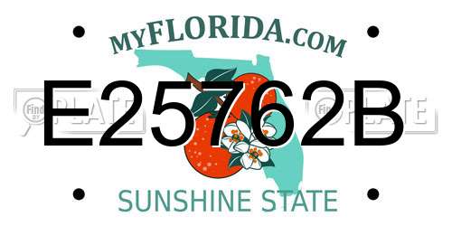 E25762B Florida License Plate