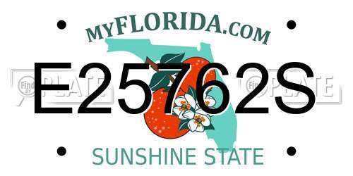 E25762S Florida License Plate