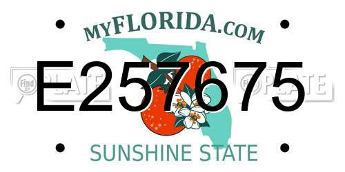 E257675 Florida License Plate