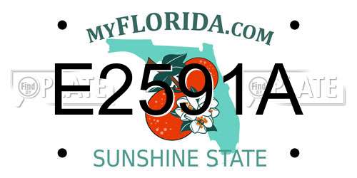 E2591A Florida License Plate