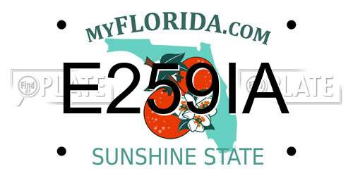 E259IA Florida License Plate