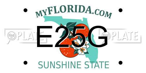 E25G Florida License Plate