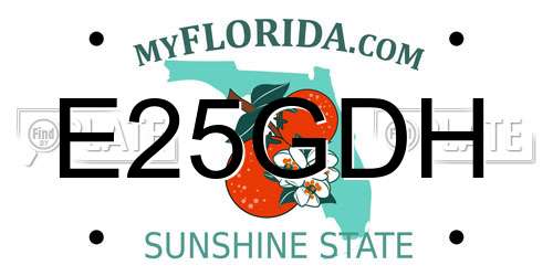 E25GDH Florida License Plate