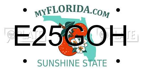 E25GOH Florida License Plate