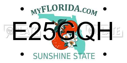 E25GQH Florida License Plate