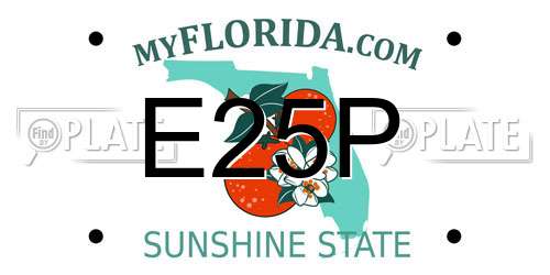 E25P Florida License Plate