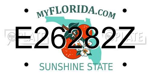 E26282Z Florida License Plate