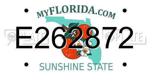 E262872 Florida License Plate