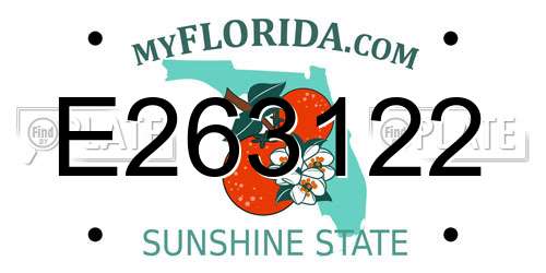 E263122 Florida License Plate