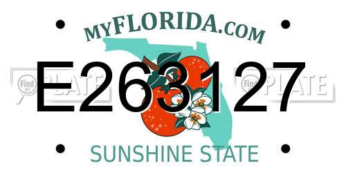 E263127 Florida License Plate