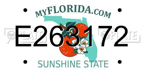 E263172 Florida License Plate