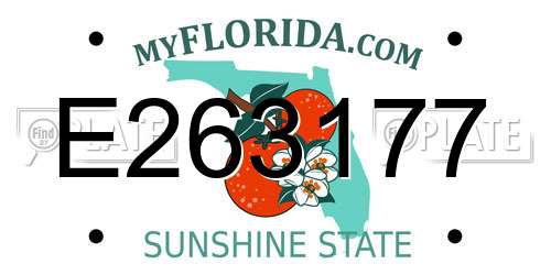 E263177 Florida License Plate