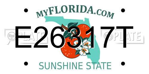 E26317T Florida License Plate
