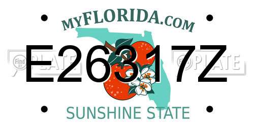 E26317Z Florida License Plate