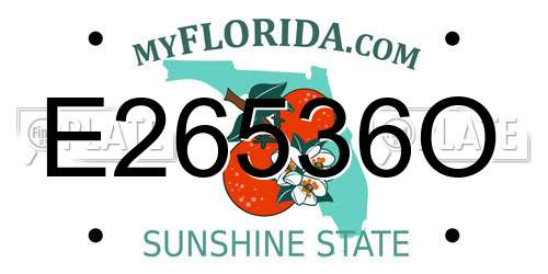E26536O Florida License Plate