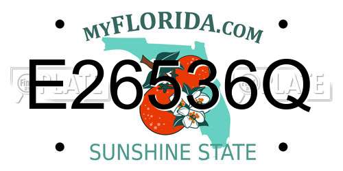 E26536Q Florida License Plate