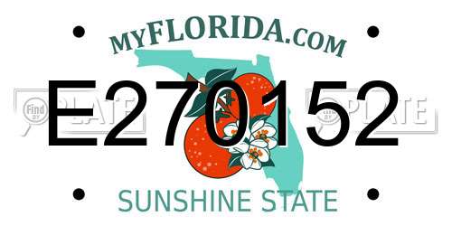 E270152 Florida License Plate