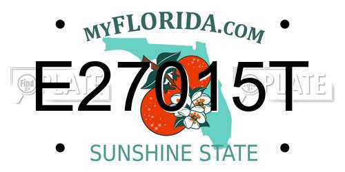 E27015T Florida License Plate
