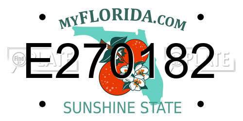 E270182 Florida License Plate
