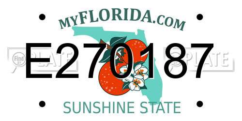 E270187 Florida License Plate