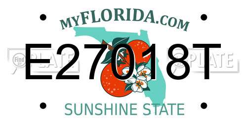 E27018T Florida License Plate