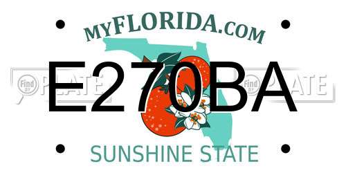 E270BA Florida License Plate