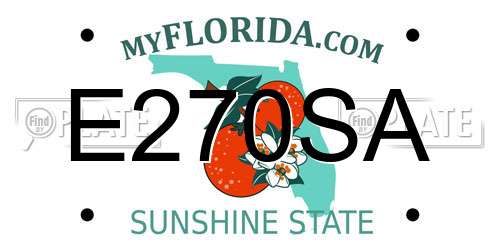 E270SA Florida License Plate