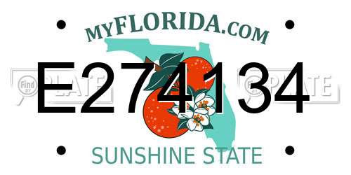 E274134 Florida License Plate