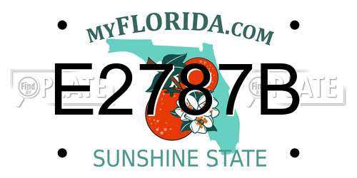 E2787B Florida License Plate
