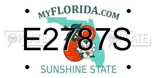 E2787S Florida License Plate