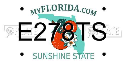 E278TS Florida License Plate