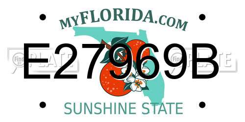 E27969B Florida License Plate