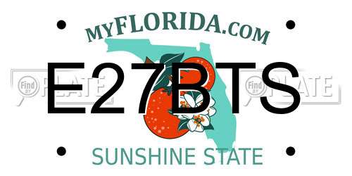 E27BTS Florida License Plate