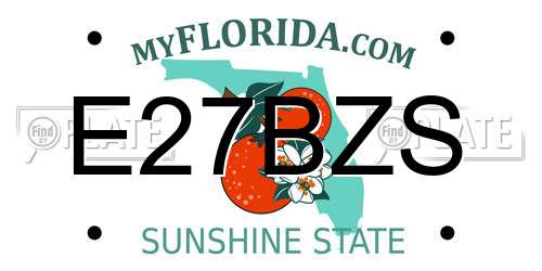 E27BZS Florida License Plate