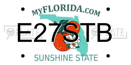 E27STB Florida License Plate