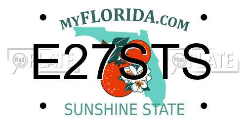 E27STS Florida License Plate