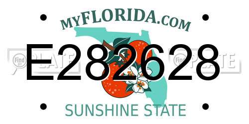 E282628 Florida License Plate