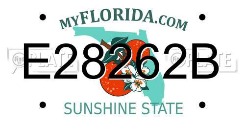 E28262B Florida License Plate