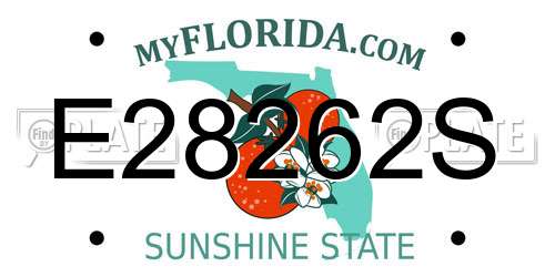E28262S Florida License Plate
