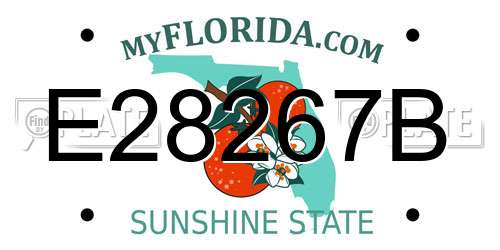 E28267B Florida License Plate