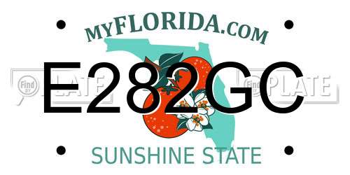 E282GC Florida License Plate