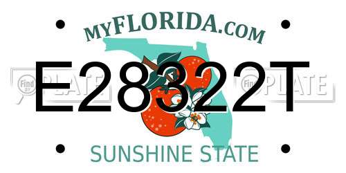 E28322T Florida License Plate